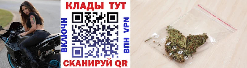 Купить закладку ГАШИШ  Канабис  Cocaine  Меф  Шуя