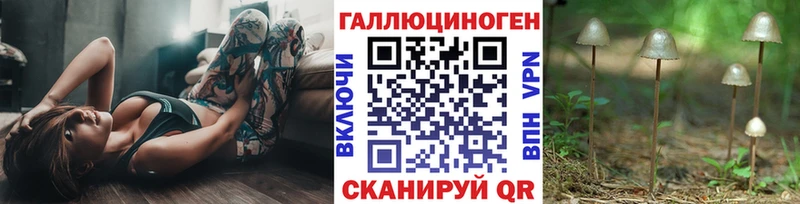 Купить  Шуя  Галлюциногенные грибы прущие грибы 